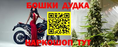гидропоника Будённовск