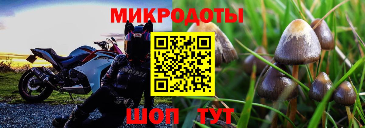 Мценск  Псилоцибиновые грибы Psilocybe  Вход с VPN  купить наркотик  Псилоцибиновые грибы мицелий 